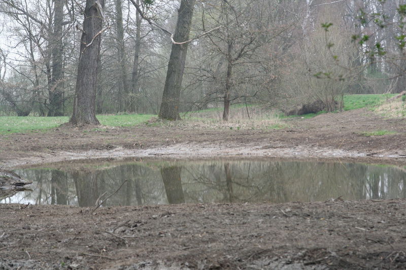 Rekonstrukce přepustního zařízení na Písečném rybníku.