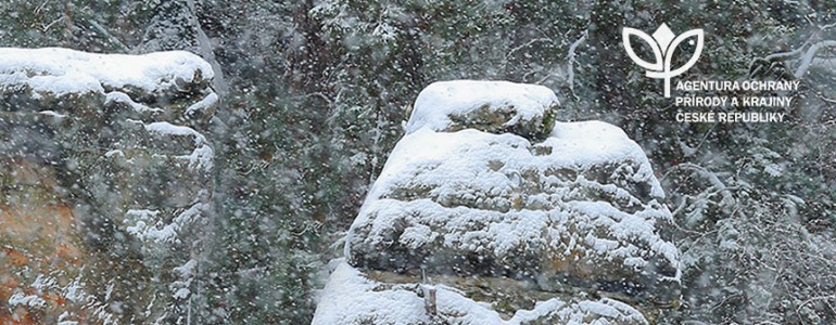 Bohemian Paradise in snow.