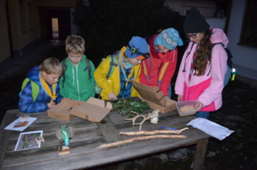 Pětice dětí zkoumá přírodniny na stolku na dvoře správy CHKO Blaník.