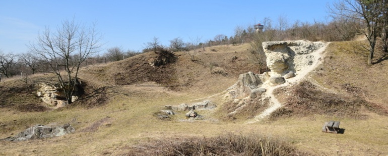 Křídový útes.