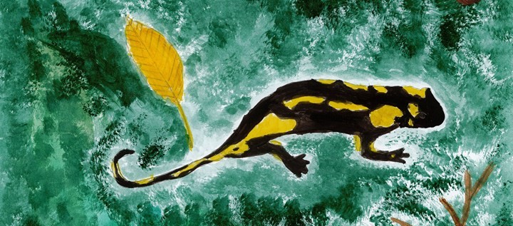 Dětská malba akrylem mloka skvrnitého na tmavě zeleném pozadí.