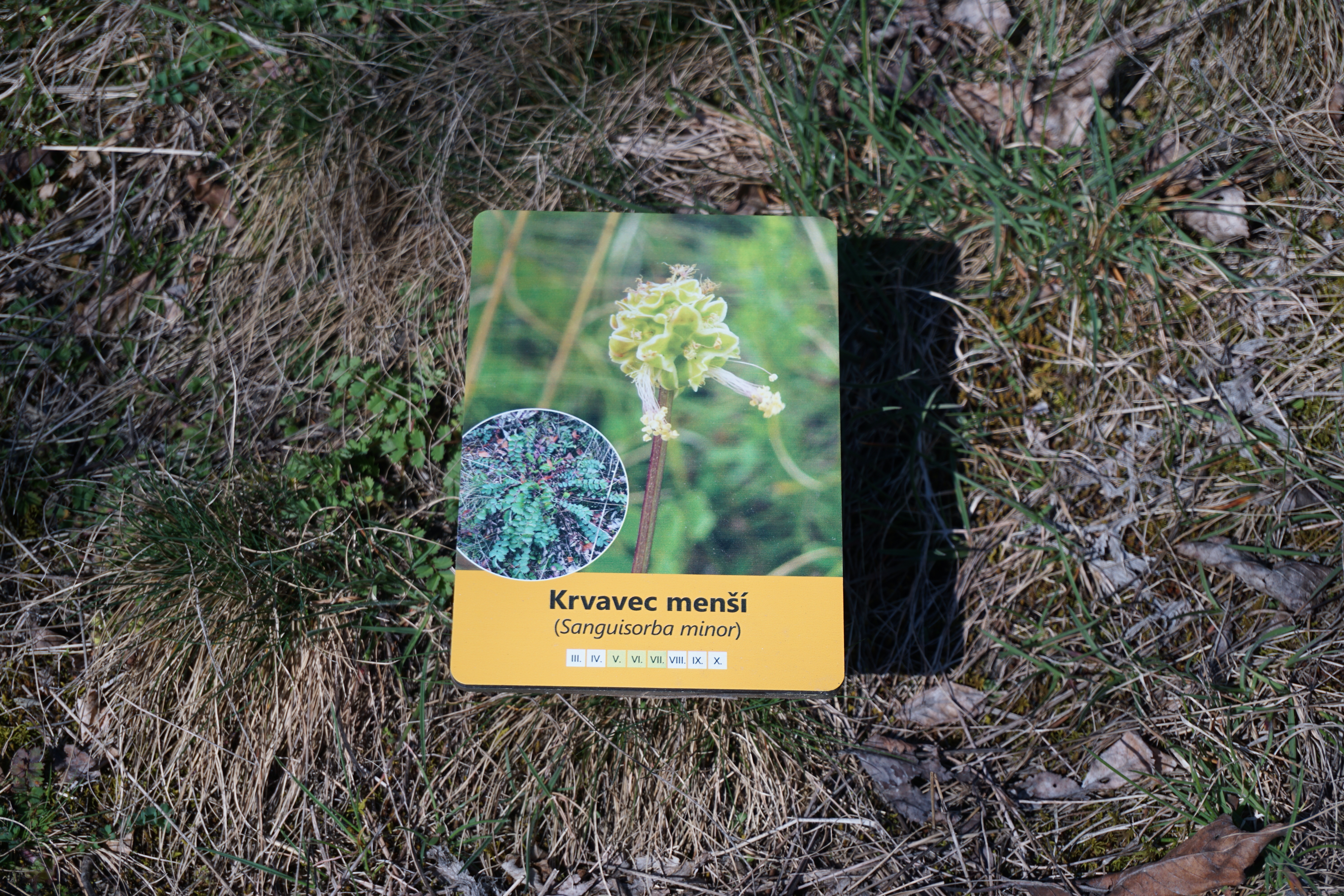 Tabulka Botanické zahrádky