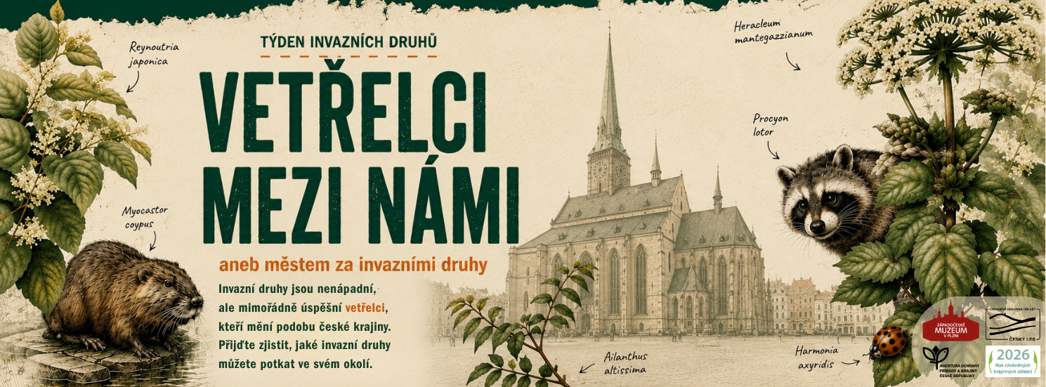 upoutávka na akci