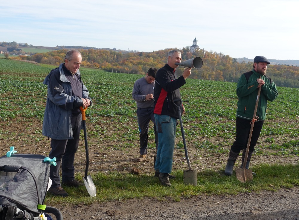 70 let CHKO Český ráj připomíná nová ovocná alej pod Humprechtem