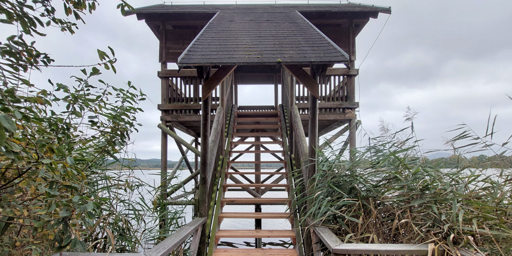 Pohled na ptačí pozorovatelnu a nové stupně schodiště.